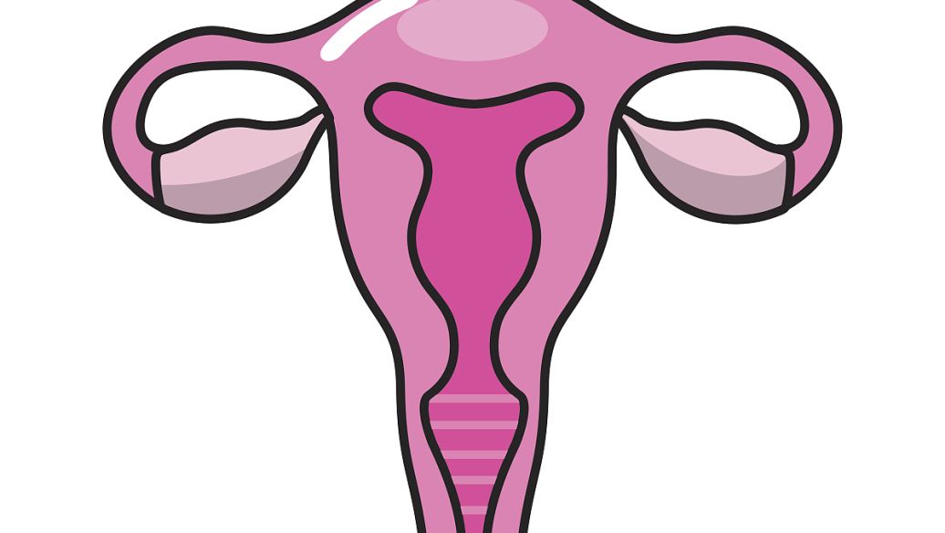 Ů�Ԍm�i�Բ��е��\���ί�