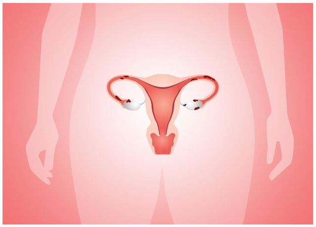 Ů�Ԍm�i�Բ����A(y��)���ί�ע�����(xi��ng)