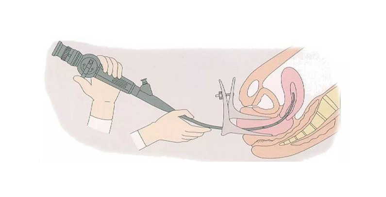 ��ԭ������W,������W�ί�,������W�A(y��)��